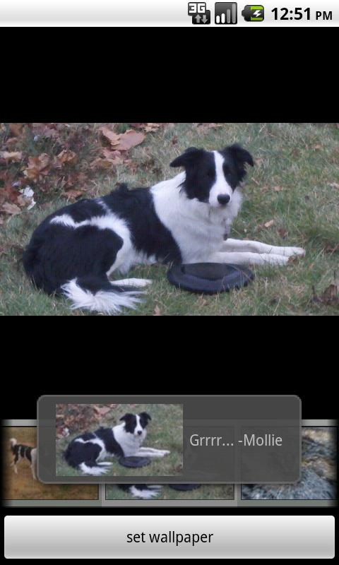 Droid Disk Dogs Android Personalization
