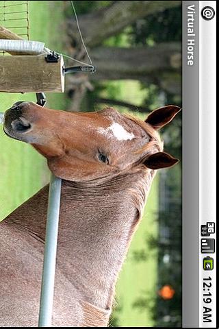 Virtual Horse Android Media & Video