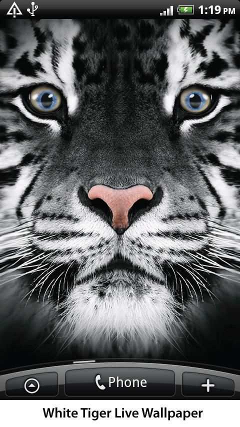 White Tiger Live Wallpaper Android Personalization