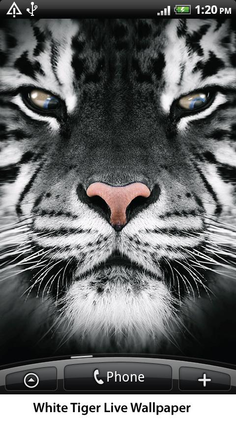 White Tiger Live Wallpaper Android Personalization