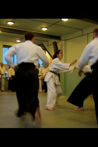 Aikido illustrated Android Sports