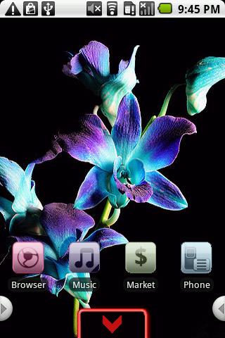 Orchids Android Personalization