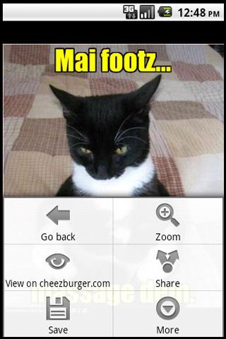 Random Lolcat Android Entertainment