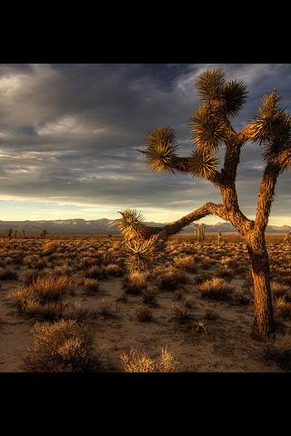 a U.S. State : Nevada Android Travel & Local