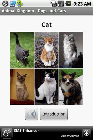 Animal Kingdom – Dogs and Cats Android Education
