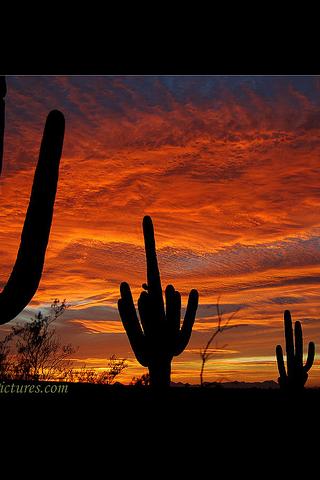 a U.S. State : Arizona