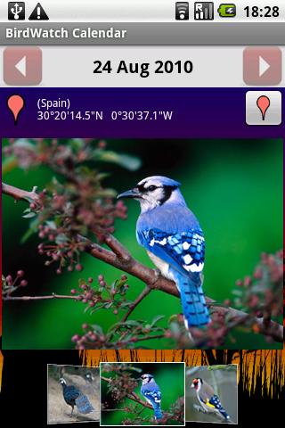 BirdWatch Calendar Android Lifestyle