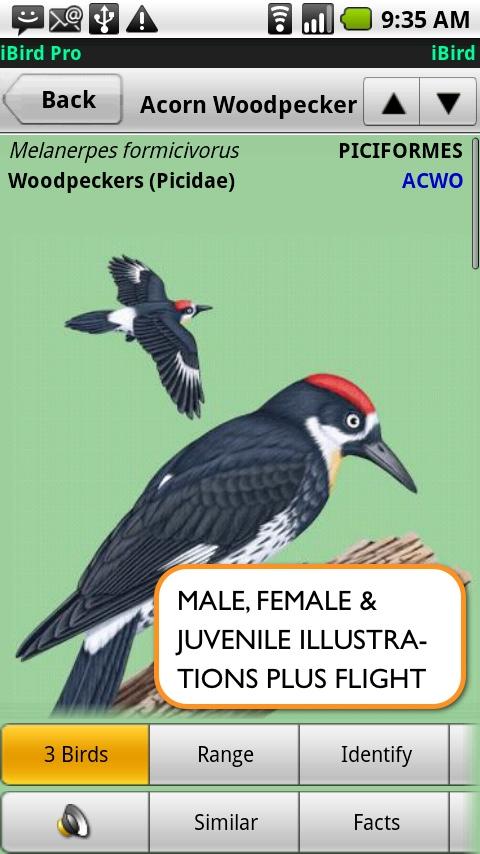 iBird Lite Android Books & Reference