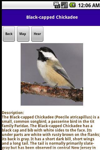 North American Birds Android Books & Reference