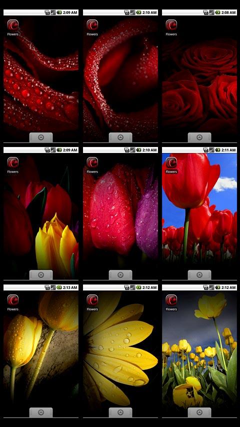 Flowers Android Personalization