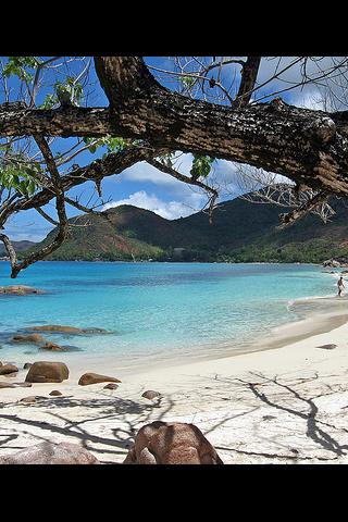 Discover Seychelles Android Travel & Local