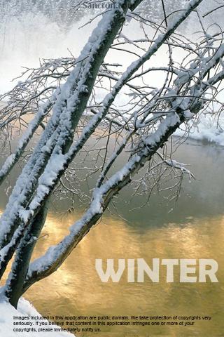 Android Winter Wallpapers