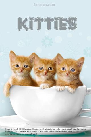Cute Kittens Wallpapers