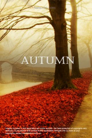 Beautiful  Autumn Wallpapers Android Personalization