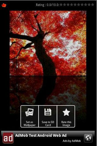 Beautiful  Autumn Wallpapers Android Personalization