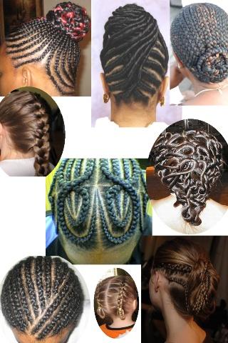 Braids Idea Book