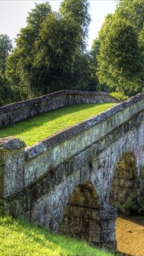 Bridges of the World