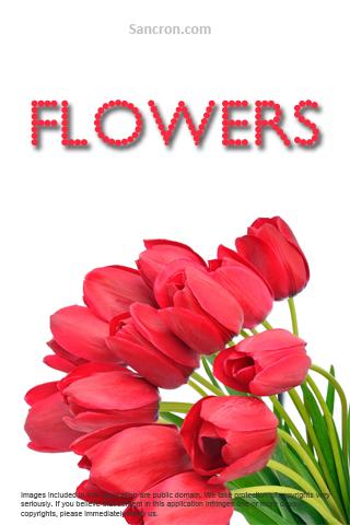 Flowers Wallpapers Android Themes