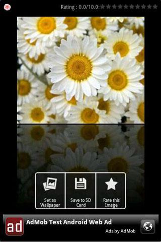 Flowers Wallpapers Android Themes