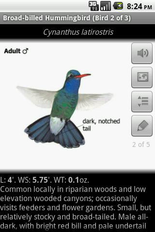 Sibley Birds of North America Android Books & Reference