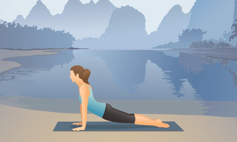 Pocket Yoga Android Health & Fitness