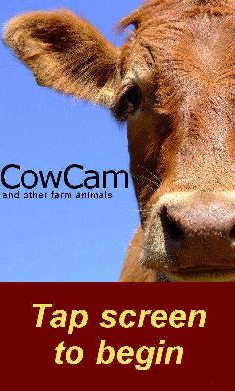 CowCam