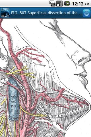 Gray’s Anatomy 2011 Android Medical