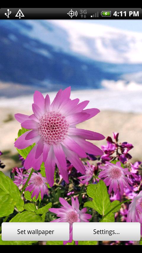 Flowers Live Wallpaper Android Personalization