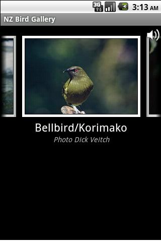NZ Bird Gallery Android Books & Reference