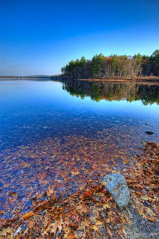 a U.S. State : New Hampshire