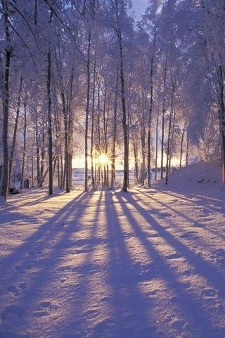 SnowWallpapers Android News & Magazines