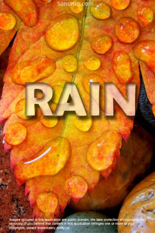 Rain Wallpapers Android Personalization