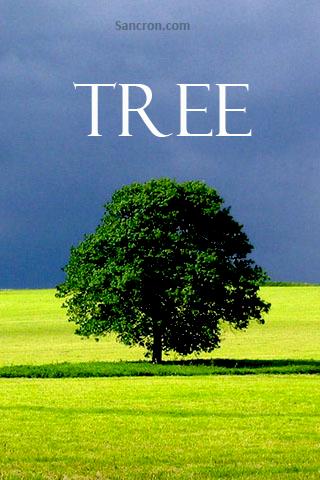 Tree Wallpapers Android Personalization