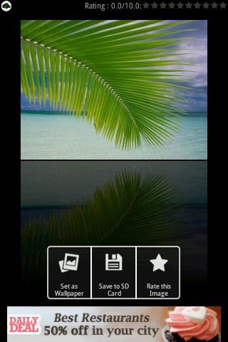Tree Wallpapers Android Personalization