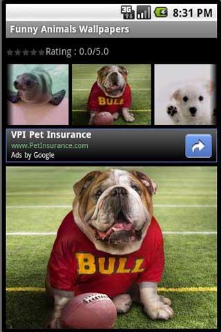Funny Animals Wallpapers Android Personalization