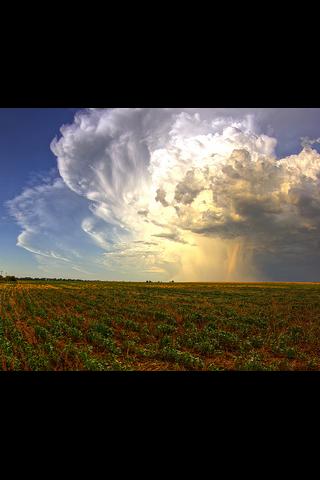 a U.S. State : Kansas