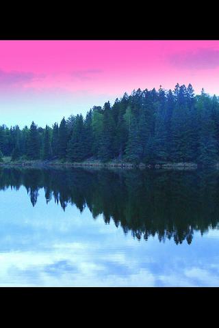 a U.S. State : Minnesota Android Travel & Local
