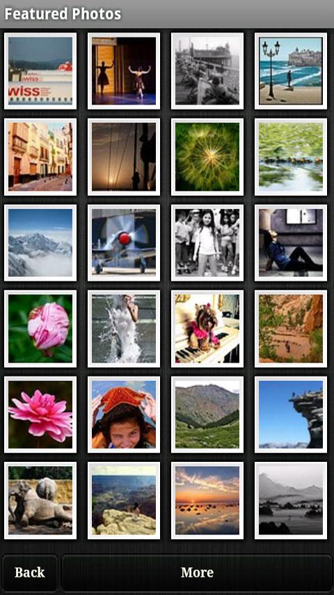 Picasa Tool Pro Android Social