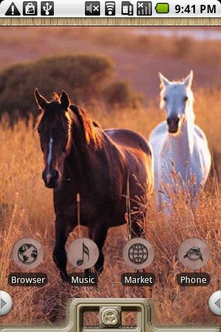 Horses Theme Android Personalization