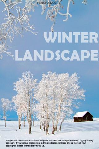 Winter Landscape Wallpapers