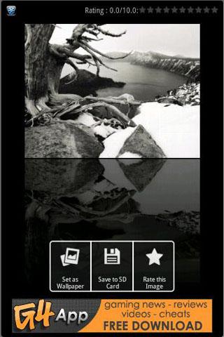 Winter Landscape Wallpapers Android Personalization