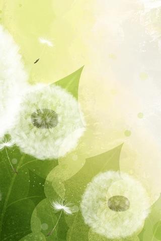 Vector Art Flower Wallpapers