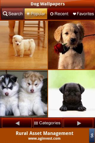 Dog Wallpapers Android Entertainment
