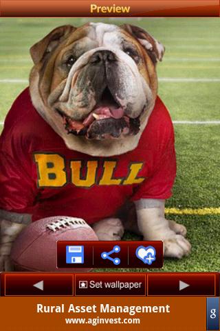 Dog Wallpapers Android Entertainment