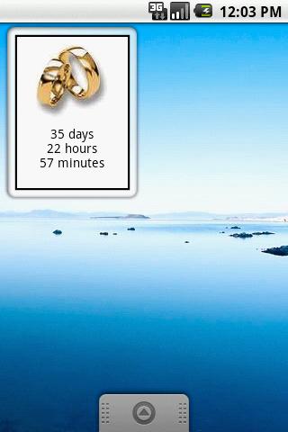 WeddingWidget