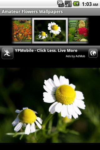 Hot Amateur Girls and FLOWERS! Android Themes
