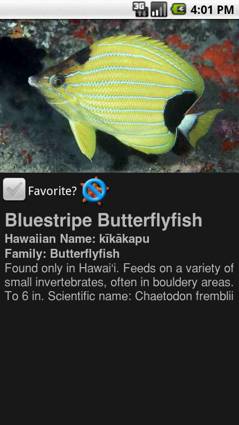 Hawaii Snorkel Fish Android Travel