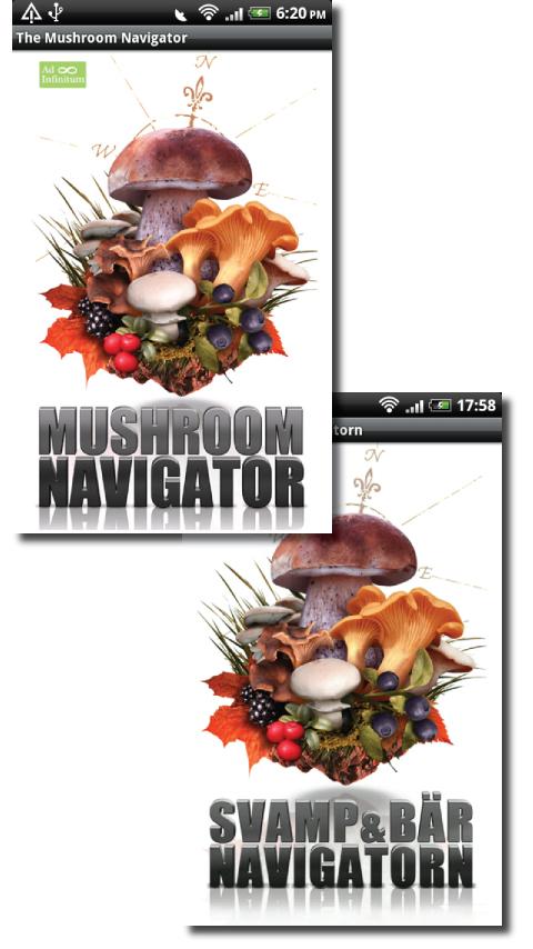 The Mushroom Navigator