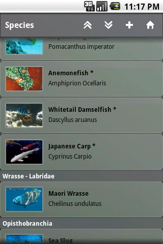 Fishes Key Android Reference