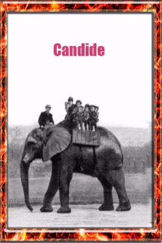 Candide Android Reference